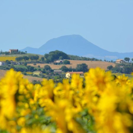 Casale Dei Cinque Colli Villa Ostra Eksteriør bilde