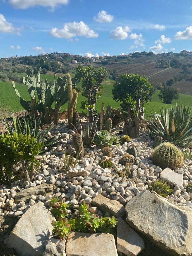 Casale Dei Cinque Colli Villa Ostra Eksteriør bilde